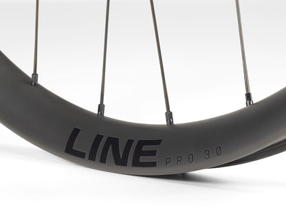 Ruota Bontrager Line Pro 30 TLR Boost 29 MTB