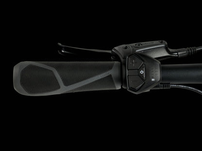 Verve+ 1 LT Lowstep