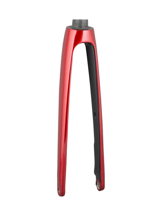 Trek 2021 Domane+ ALR 700c Rigid Forks