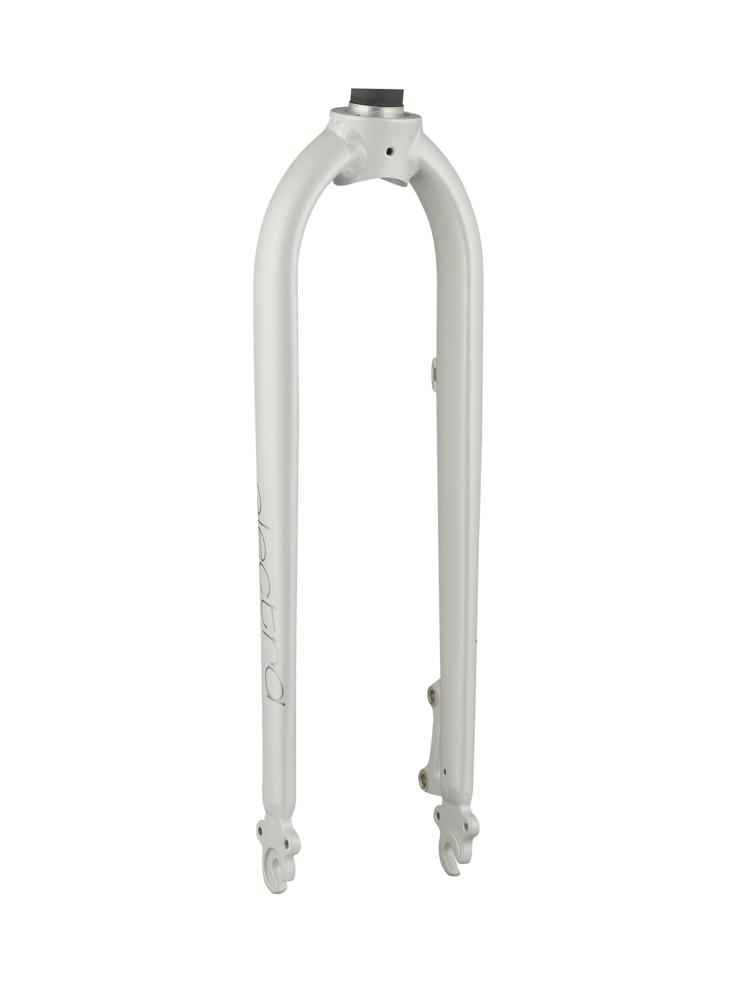 Electra Townie Path Go! Rigid Forks