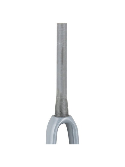 Trek 2021 Emonda ALR 5 700c Rigid Forks