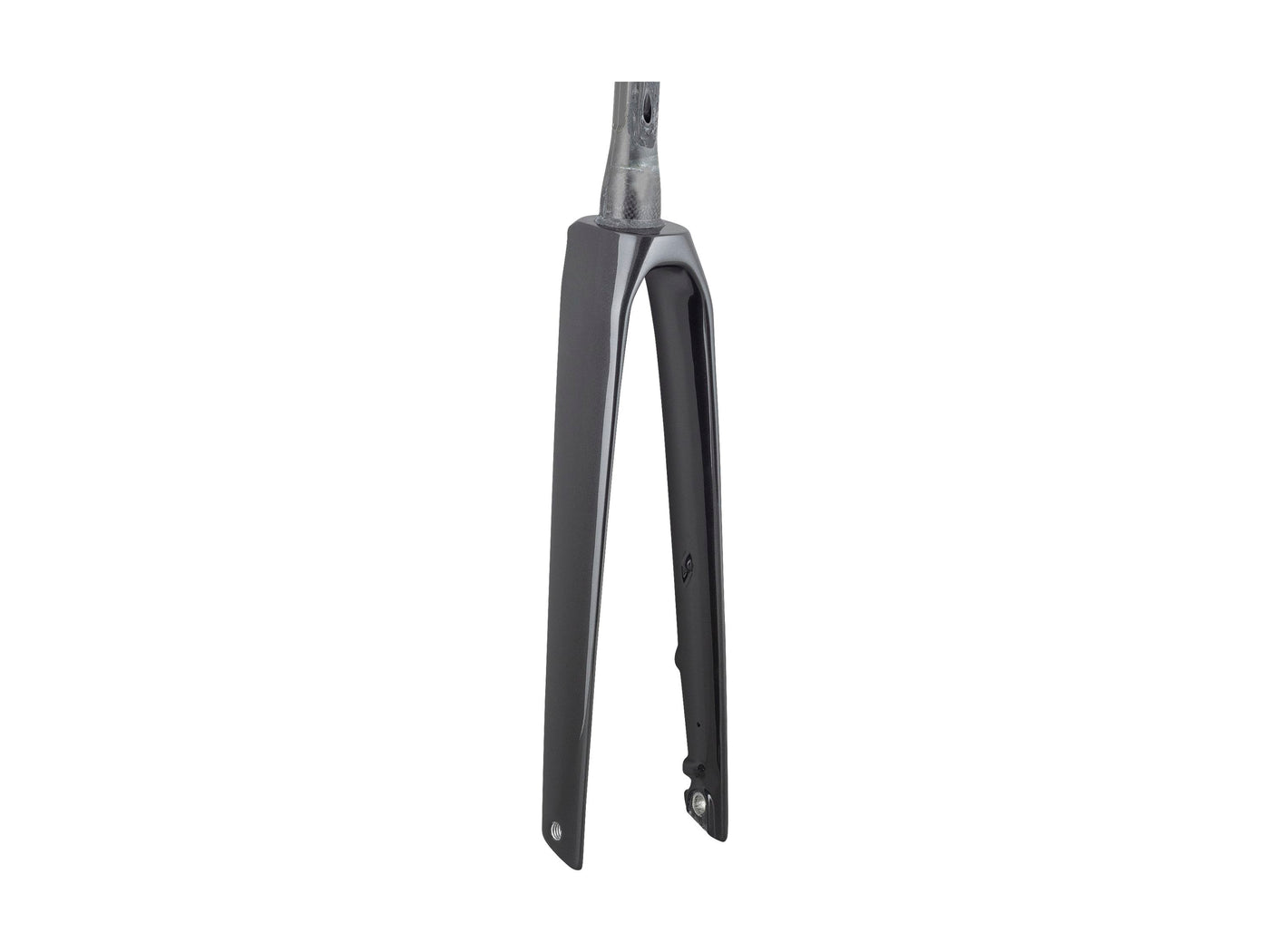 Trek 2023 Madone SL6 Forks