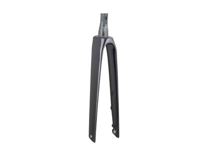 Trek 2023 Madone SL6 Forks