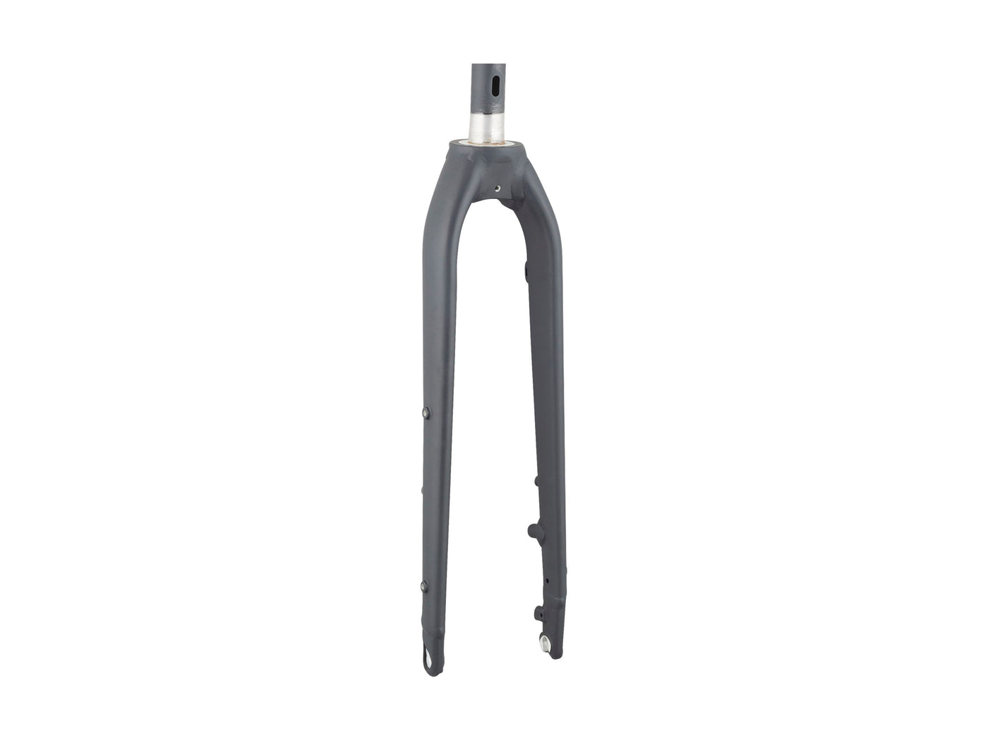 Trek-Diamant 2023 Rubin Legere 700c Starrgabel