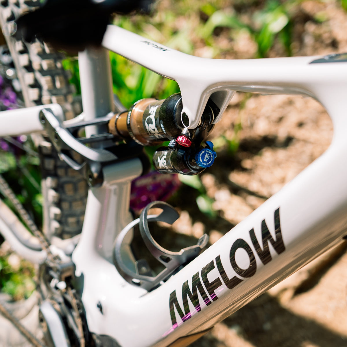 AMFLOW PX Carbon