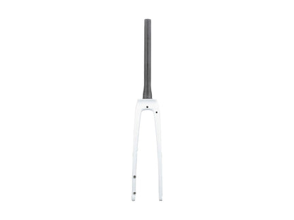 Trek FX Sport Carbon Thru-Skew Forks