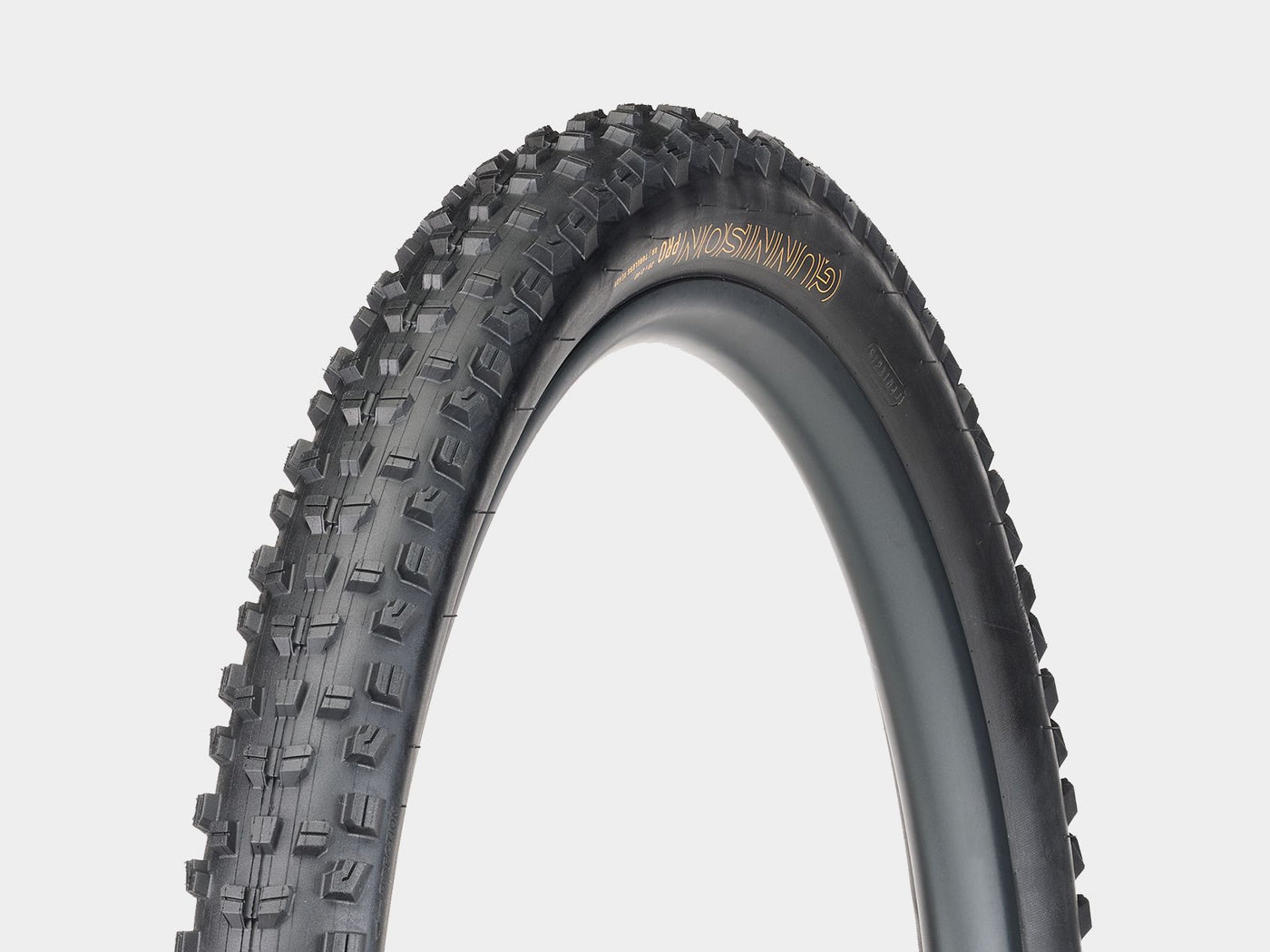 Pneumatico MTB Bontrager Gunnison Pro XR TLR