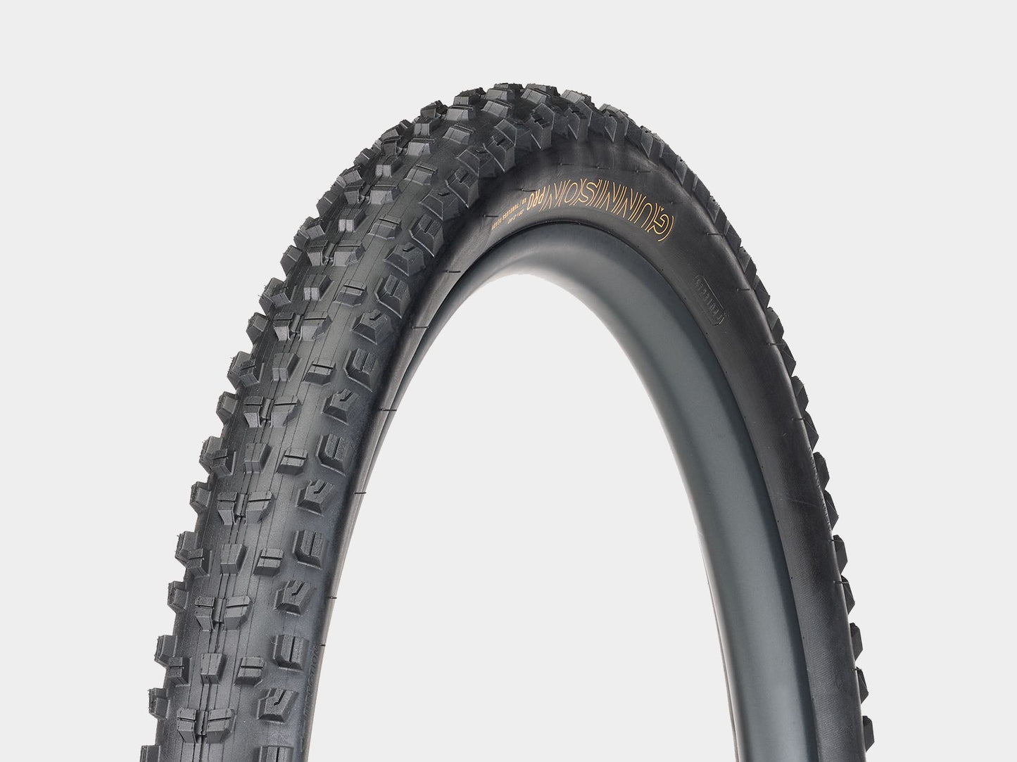 Pneumatico MTB Bontrager Gunnison Pro XR TLR