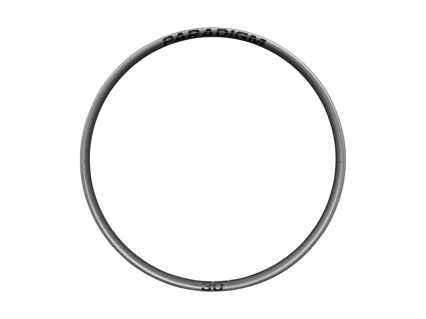 Bontrager Paradigm Pro 30 Felge