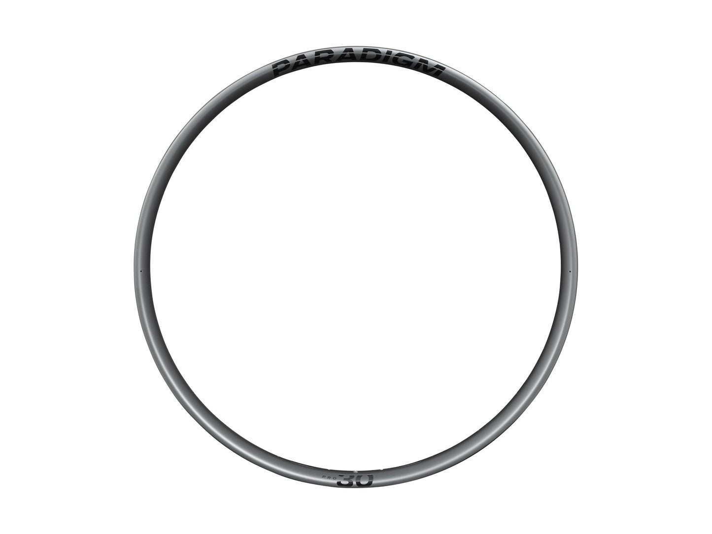 Bontrager Paradigm Pro 30 Rim
