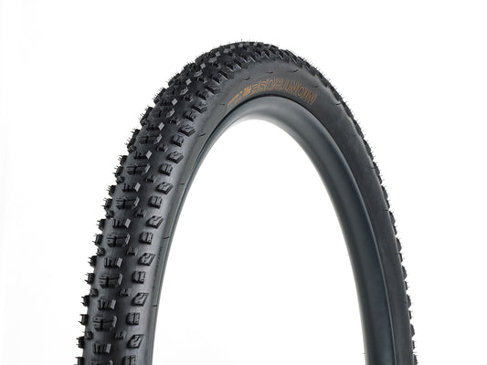Pneumatico Bontrager Montrose Pro XR TLR MTB
