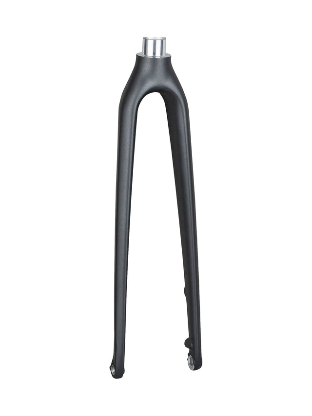 Trek FX Sport 5 Disc Gabel