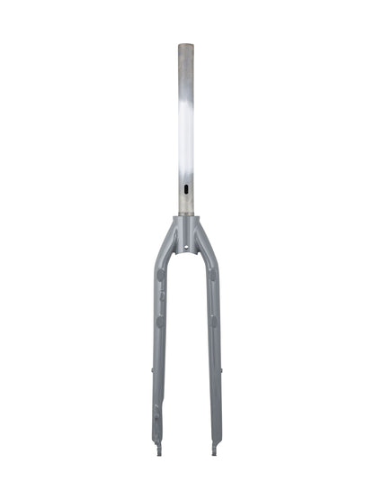 Trek-Diamant 2019-2020 UM2+ / District+ 2 700c Rigid Forks