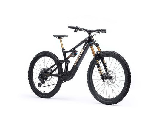 AMFLOW PL Carbon PRO