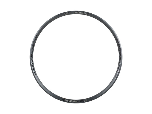 Cerchio Bontrager Paradigm Elite 25 Disc