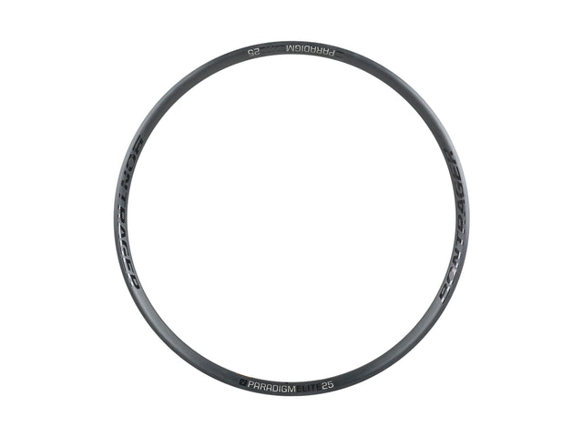 Cerchio Bontrager Paradigm Elite 25 Disc