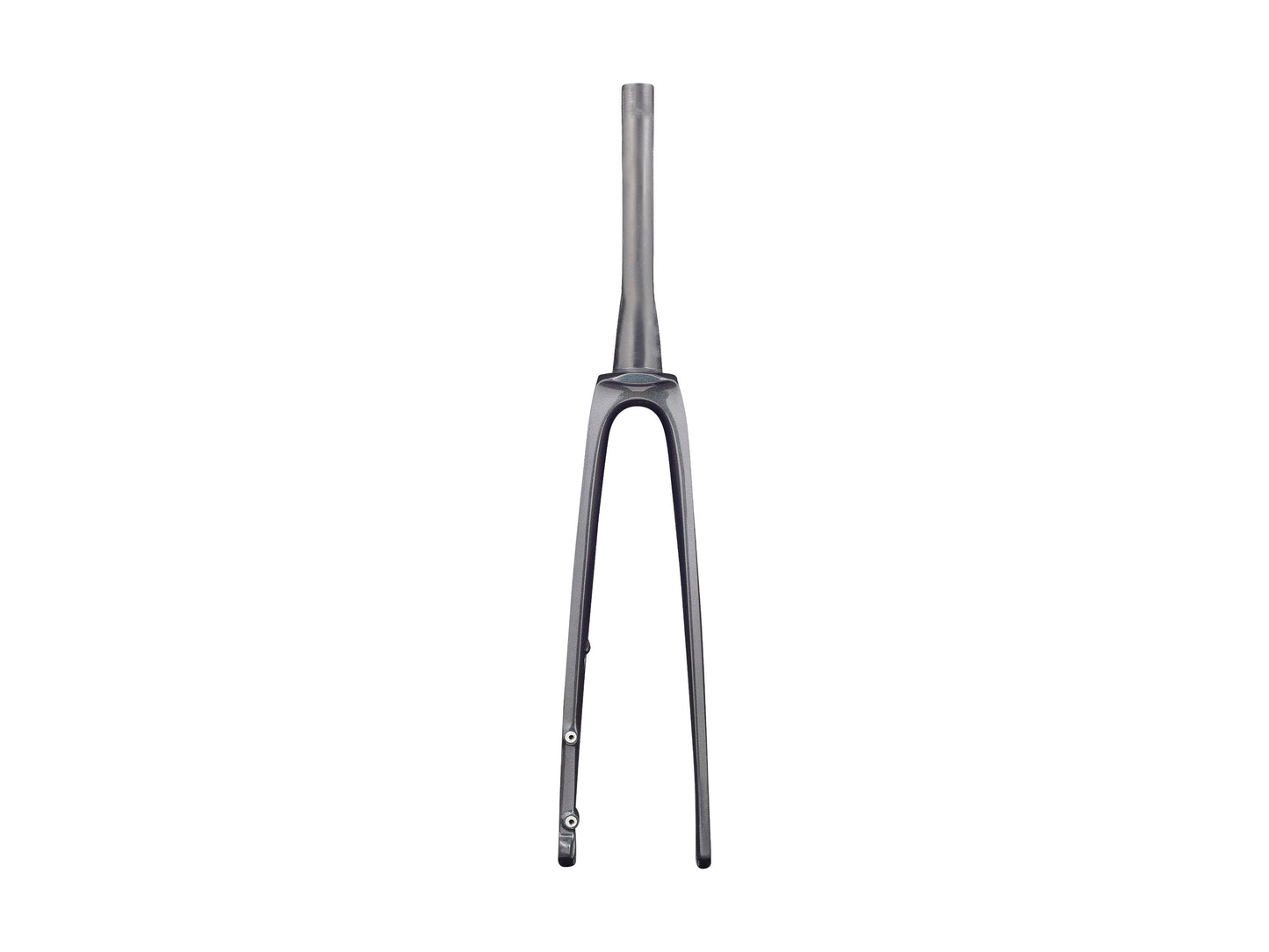 Trek 2021 Madone SLR Forks