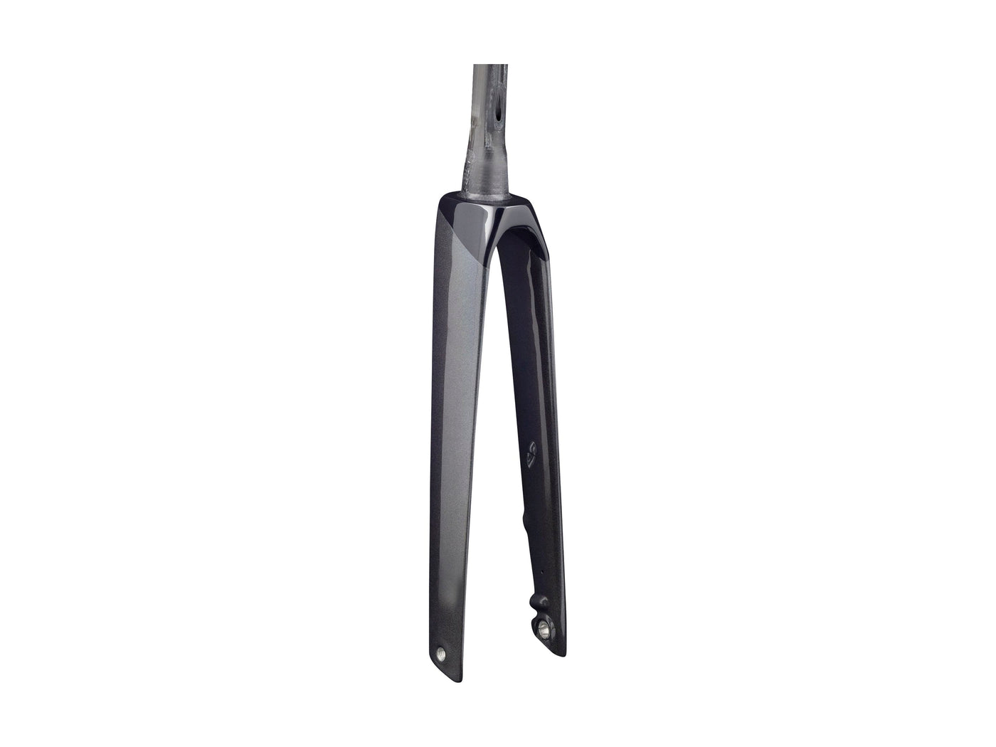 Trek 2021 Madone SLR Forks