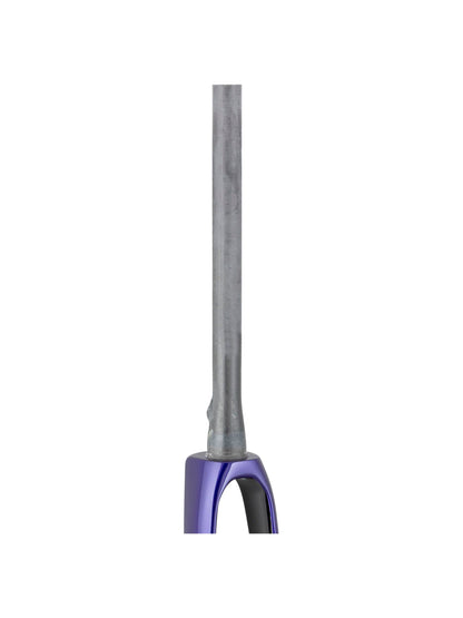 Trek 2021 Domane SL 700c Rigid Forks