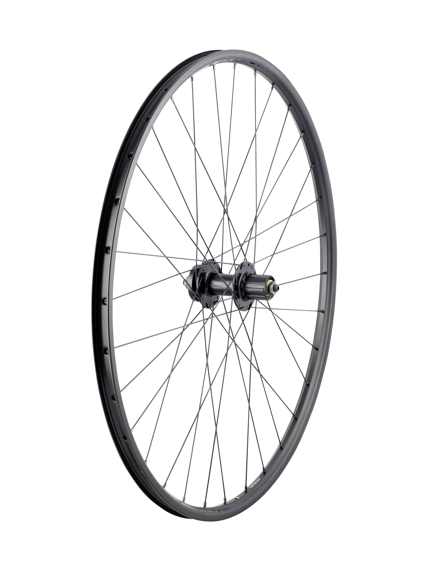 Bontrager Connection 29˝ Schrader 6-Bolt Disc MTB Wheel