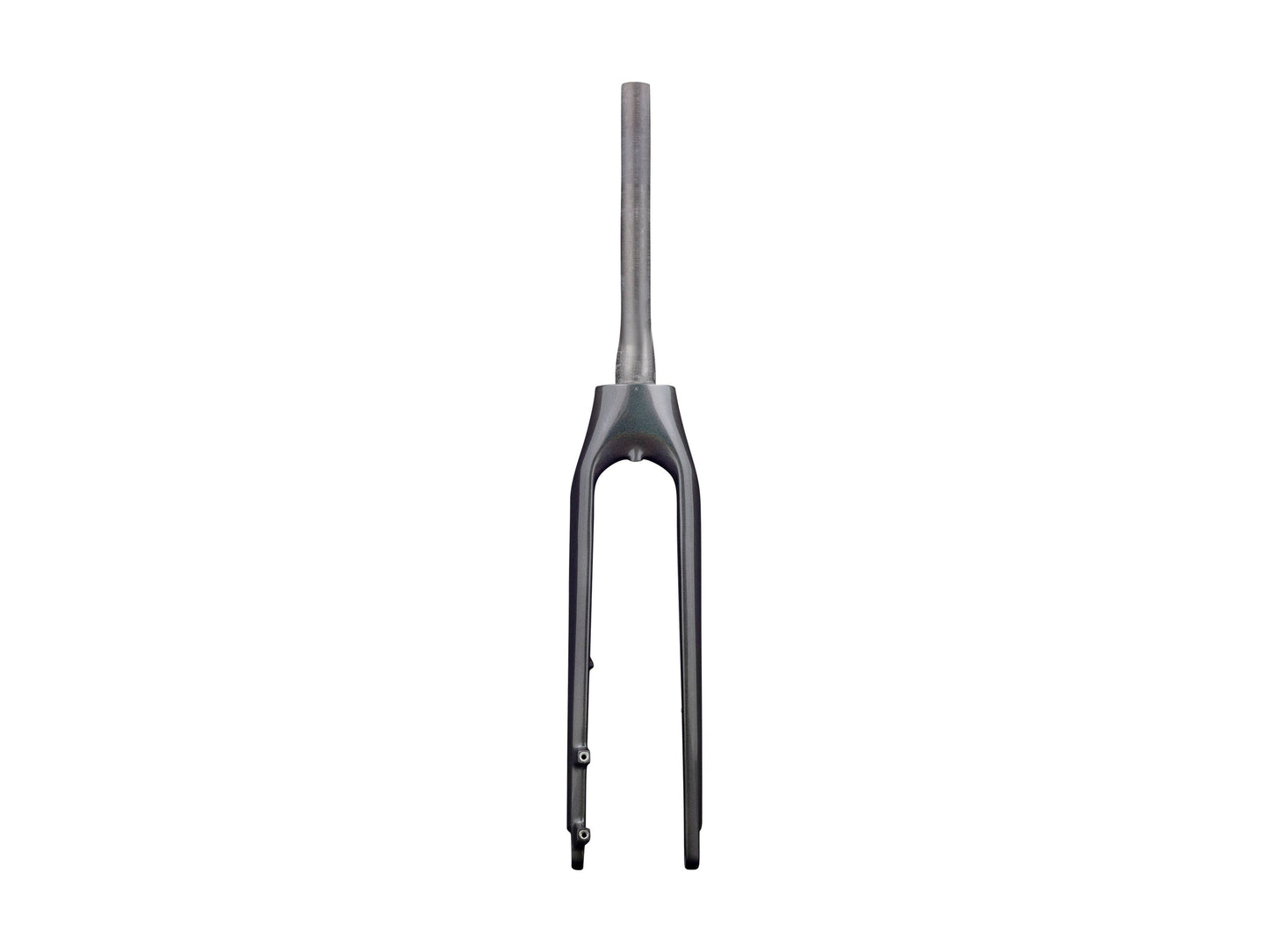 Trek 2020-2022 Allant+ 9.9 700c Rigid Forks