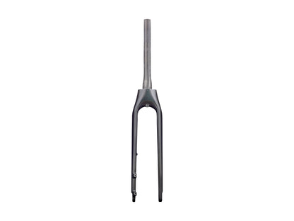 Trek 2020-2022 Allant+ 9.9 700c Rigid Forks