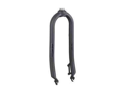 Electra Kakau Cruiser Go! Fork