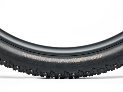 Pneumatico Bontrager Montrose Comp XR MTB