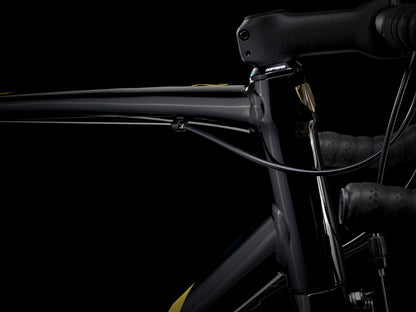 Domane AL 2 Rim