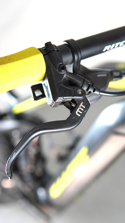 Ebike Sants tg L