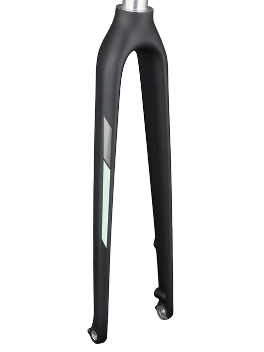 Trek FX Sport 5 Women's Disc 700c Rigid Forks