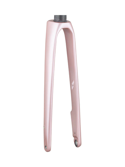 Trek 2021 Domane SLR 700c Rigid Forks