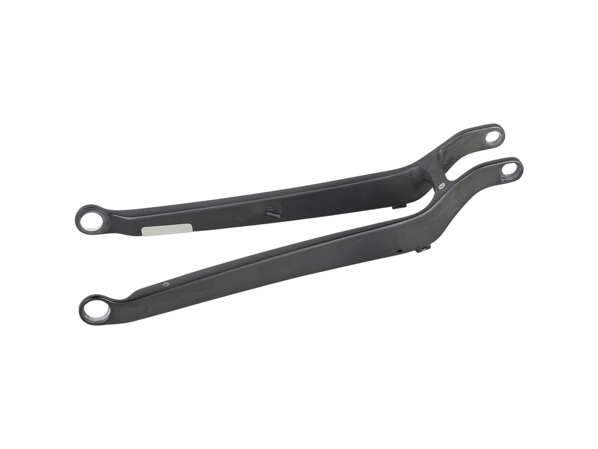 Trek 2022-2024 Top Fuel 29 Carbon Chainstay