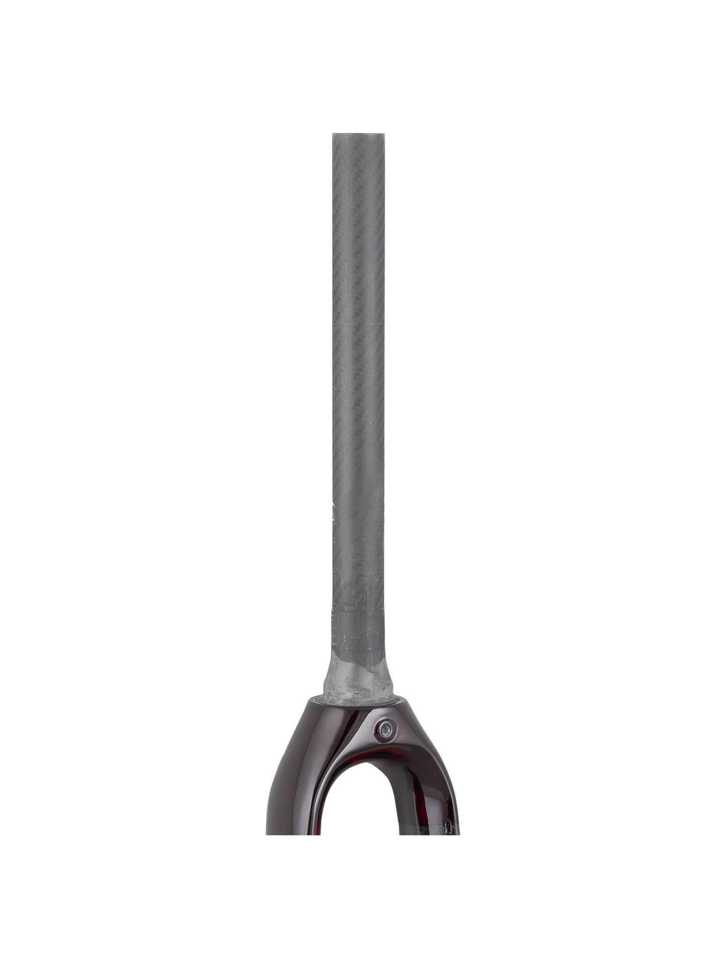 Trek 2021 Checkpoint SL 700c Rigid Forks