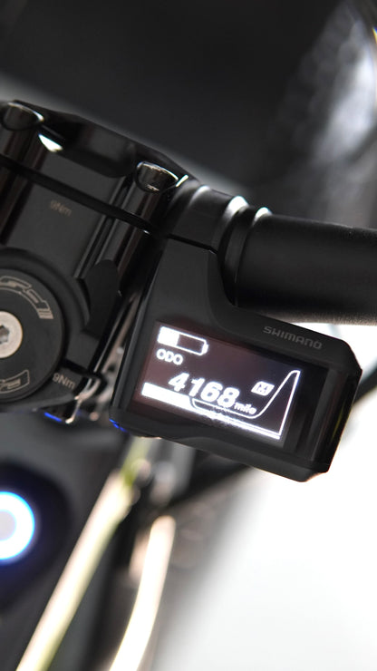 Ebike Sants tg L
