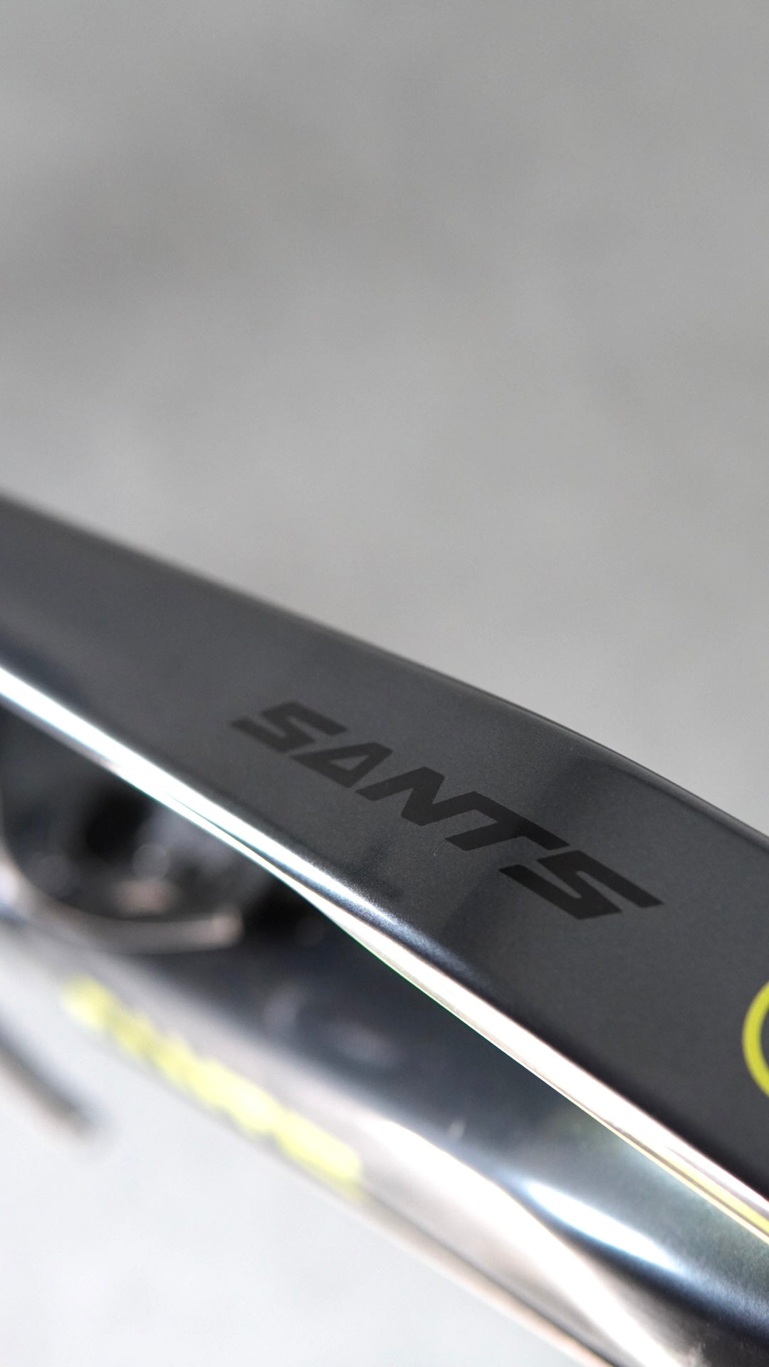 Ebike Sants tg L