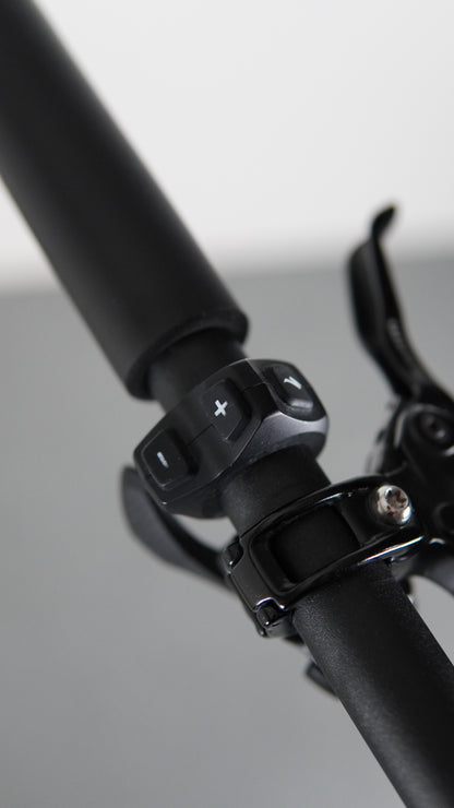 Specialized Turbo Levo comp tg L