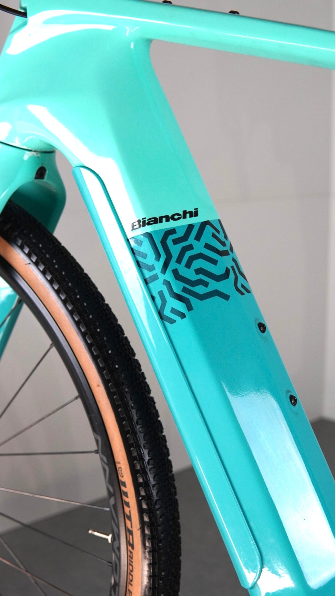 Bianchi E-Arcadex Ekar tg M