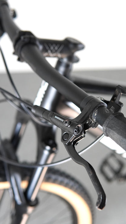 BMC Twostroke 01 tg M