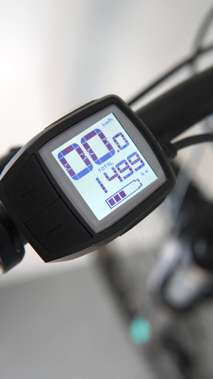 Trek Powerfly 4 tg M