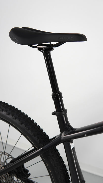 Trek Powerfly 5 tg L