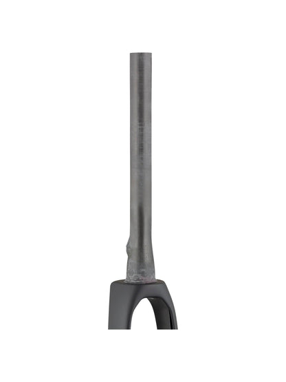 Forcelle Domane+ LT 2020 700C