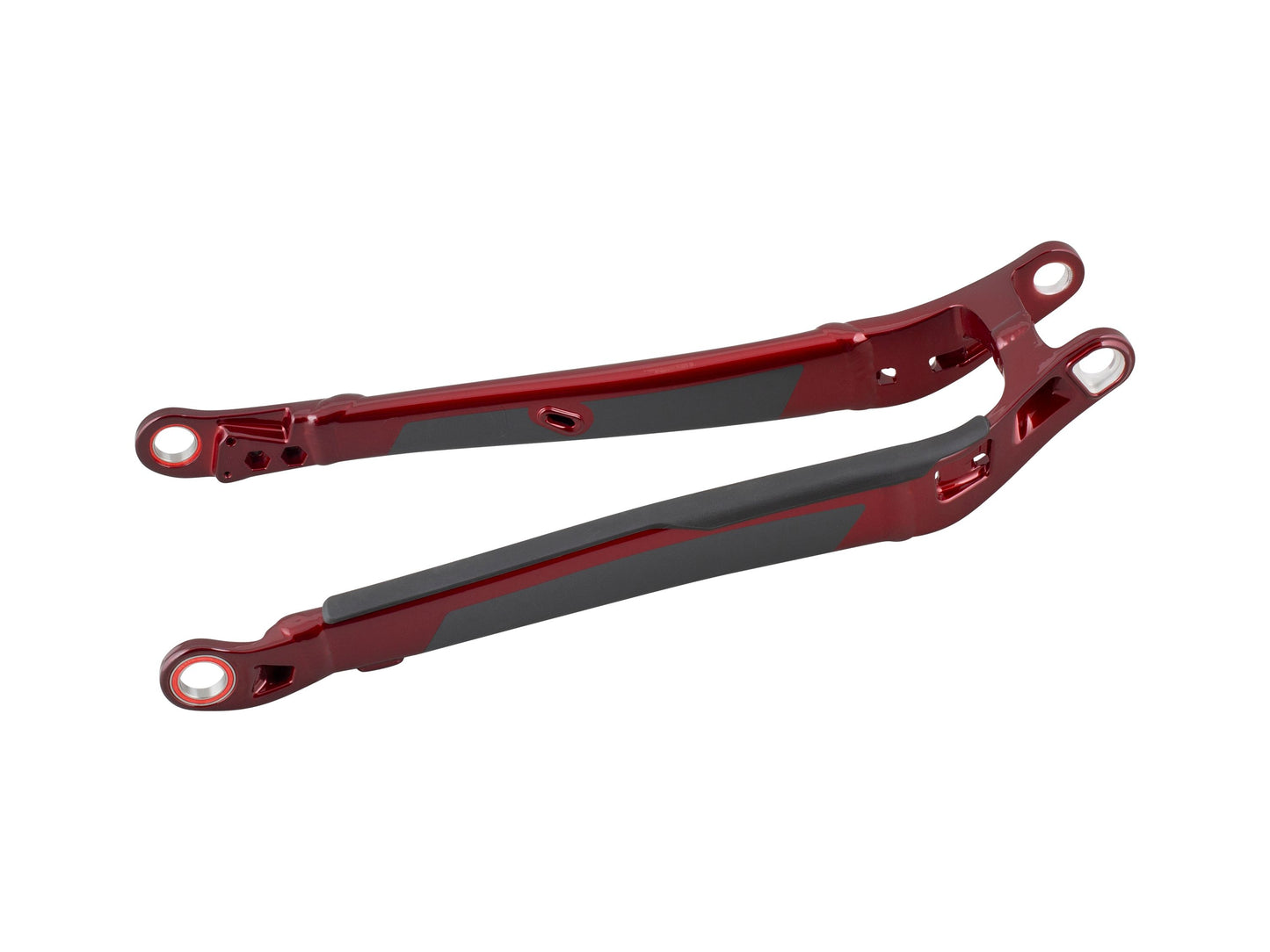 Trek 2022 Rail 29 Aluminum Chainstay