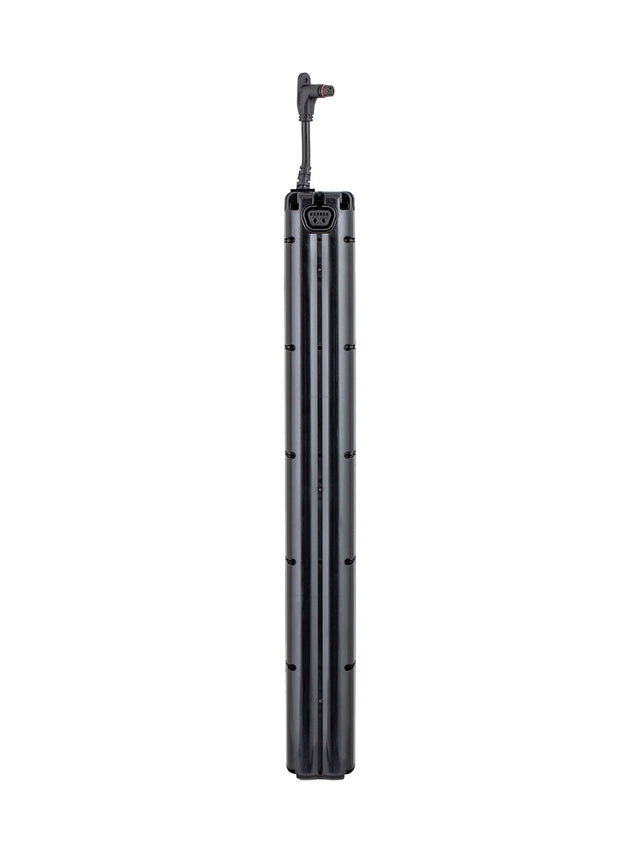 Hyena Gen 2 In-Tube 250Wh Batterie