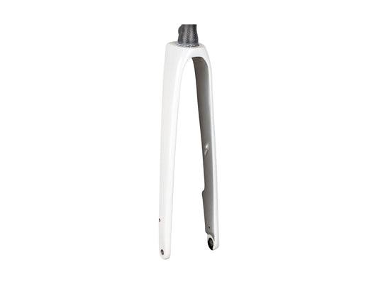 Trek 2022 Domane SL 5 Forks