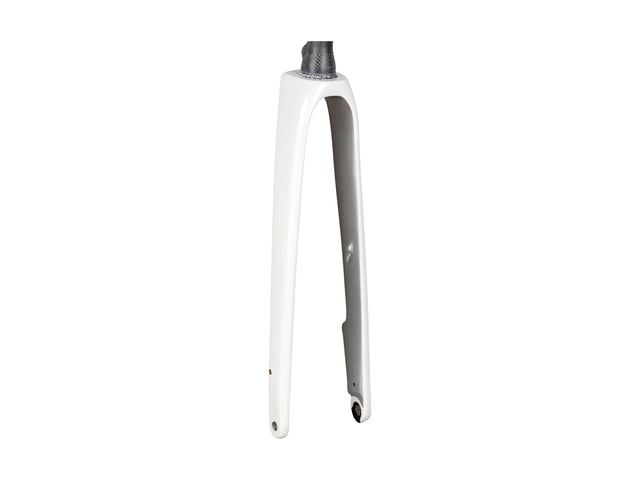 Trek 2022 Domane SL 5 Forks
