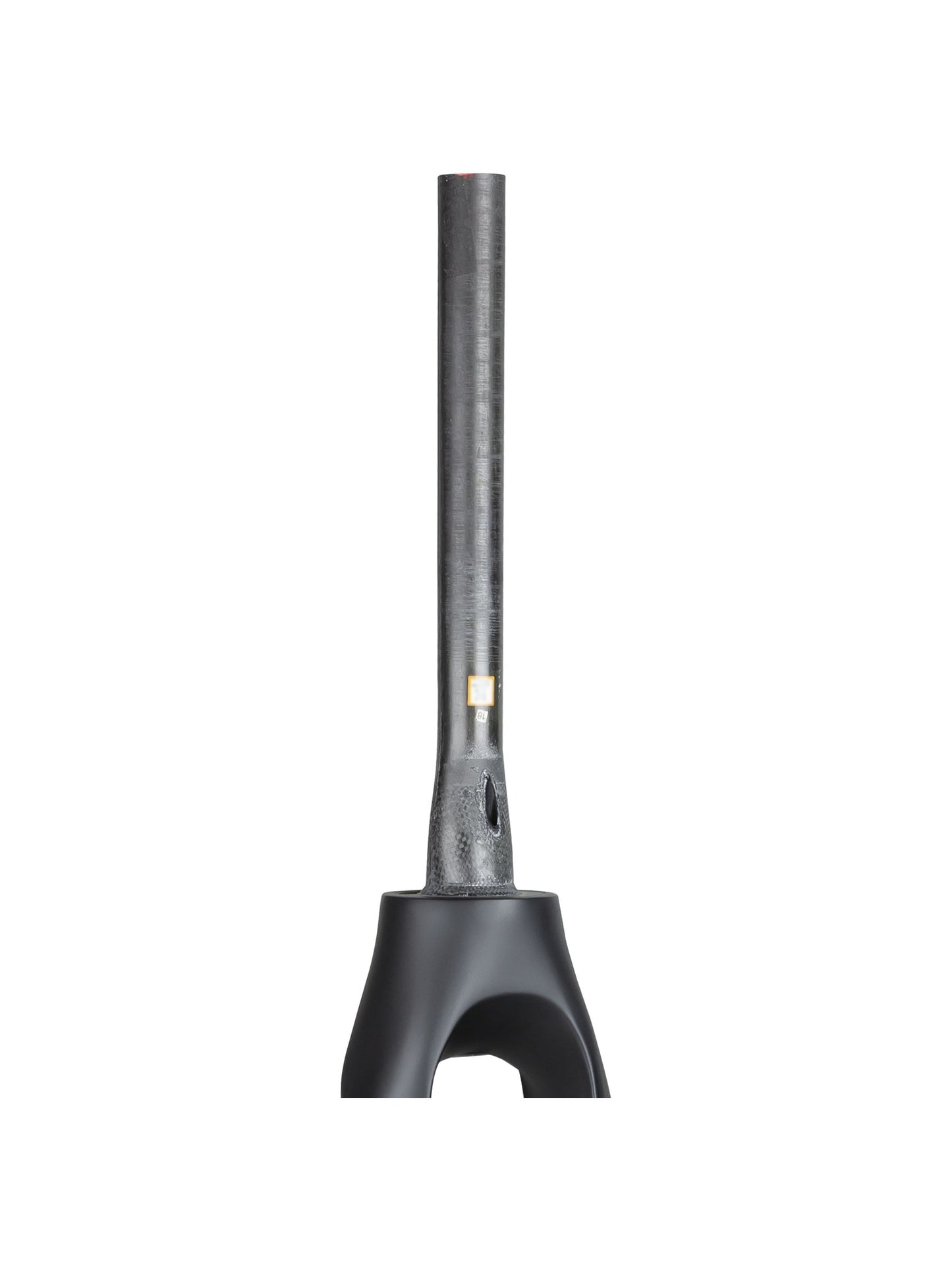 Trek 2020-2022 Allant+ 9.9 700c Rigid Forks