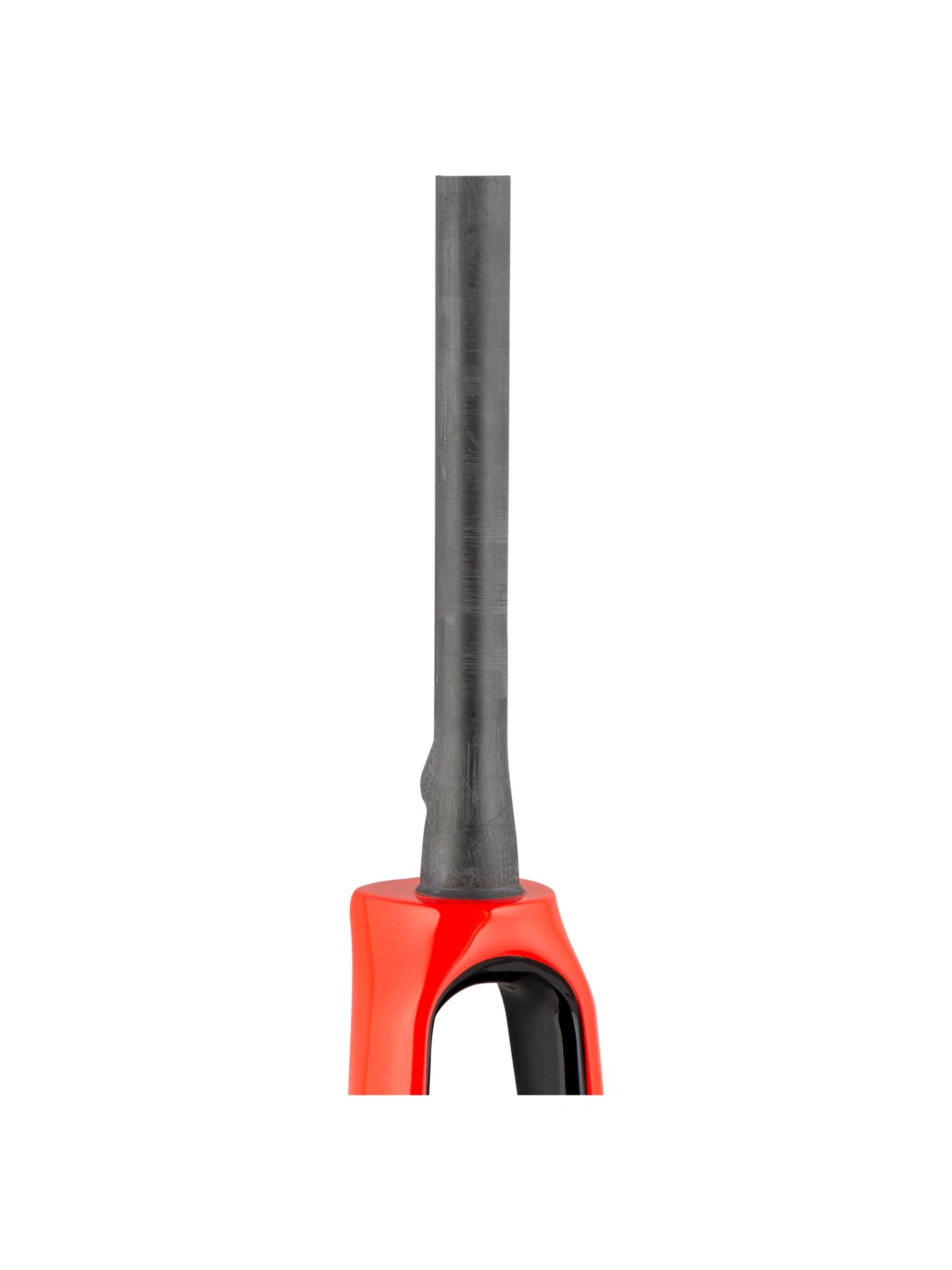 Forcelle Domane+ HP 2020 700C