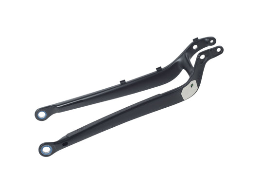 Trek Top Fuel 29 Carbon Chainstay