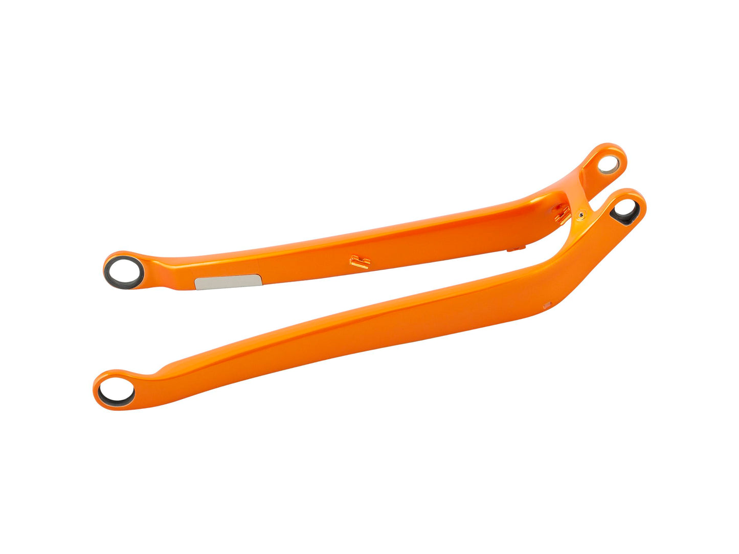 Trek 2021 Fuel EX 29 Carbon Chainstay